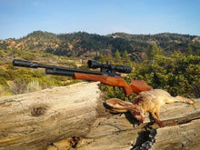Load image into Gallery viewer, Combo Daystate Huntsman Revere .22 40ft/lbs